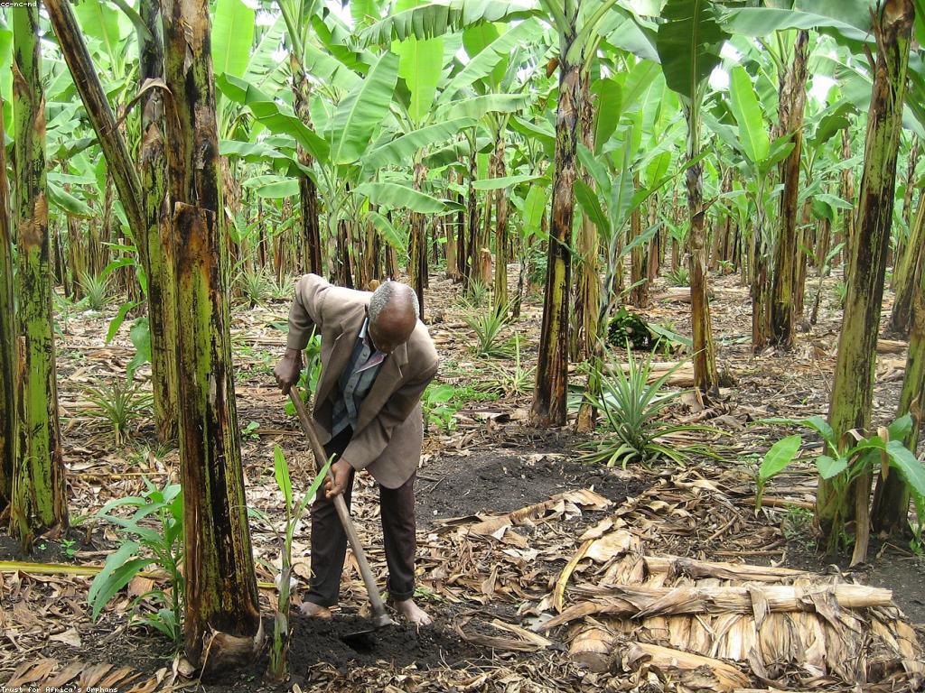 វិធីស្នើសុំលុយដោយមានប្រសិទ្ធភាព