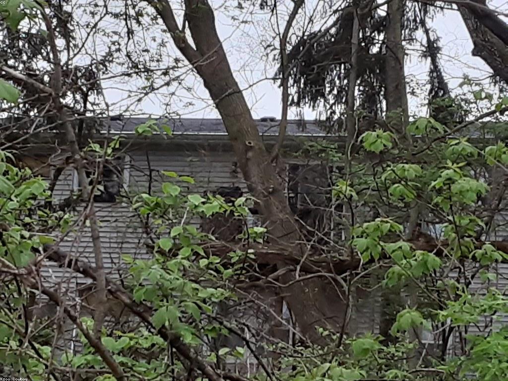 ការងារប្រាក់៖ របៀបរកប្រាក់តាមអ៊ីនធឺណិត