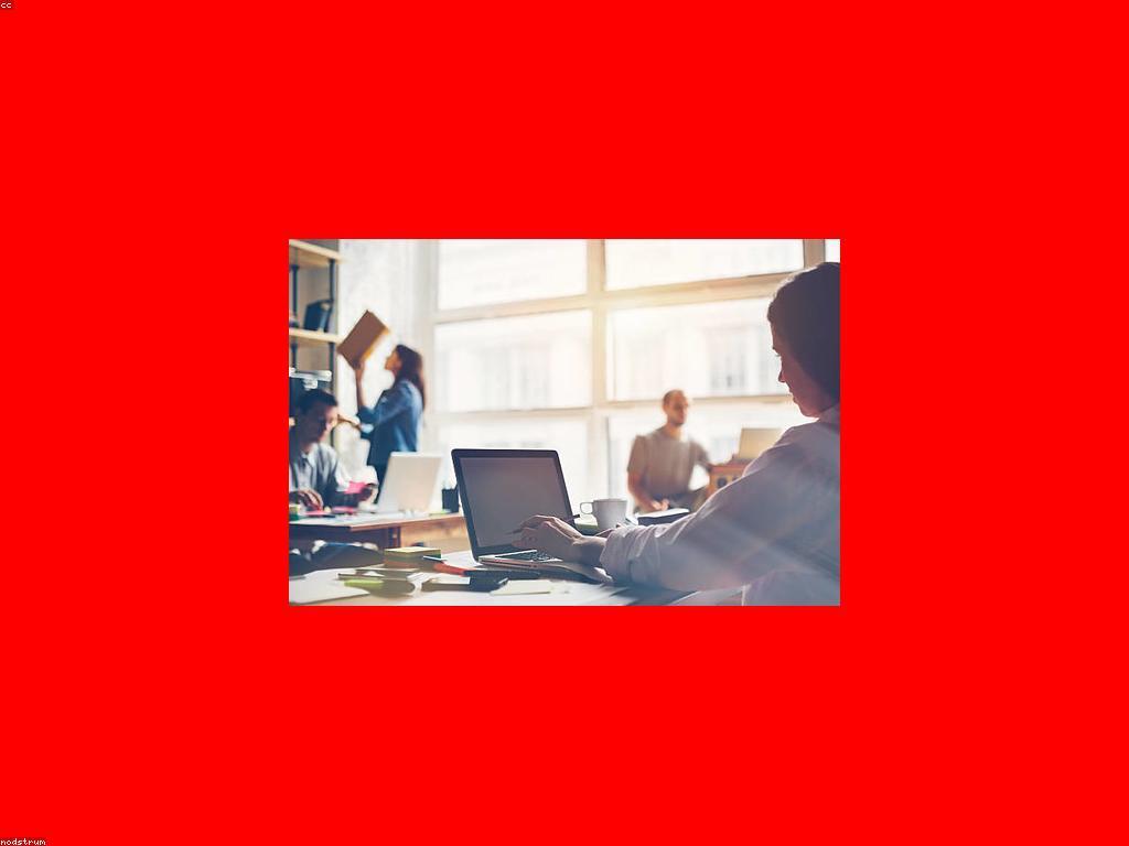 ការងារប្រាក់៖ របៀបរកប្រាក់តាមអ៊ីនធឺណិត